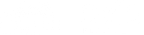 Soliven Estates and EXP Realty real estate logo with a golden house and palm trees design