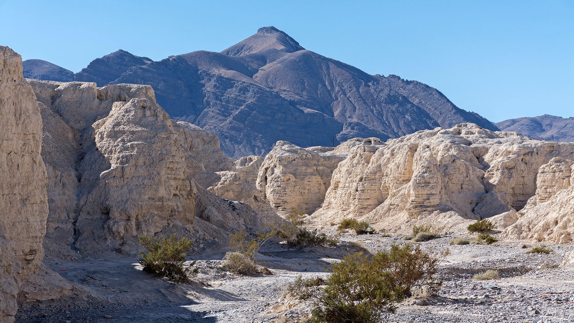 Tule Springs Ranch & Fossil Beds