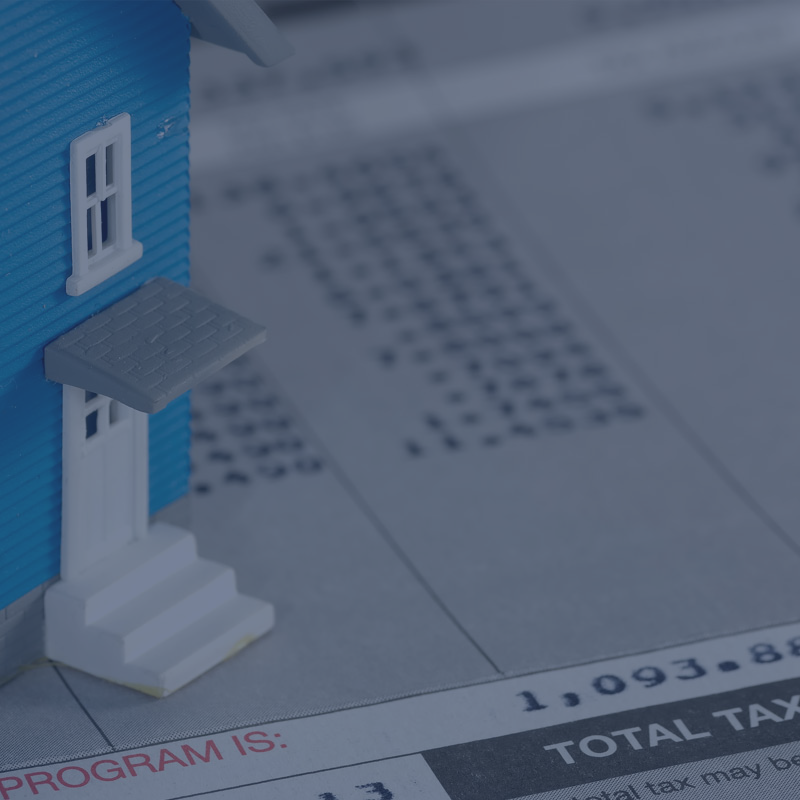 Tax Protest Tips 2024 Edition